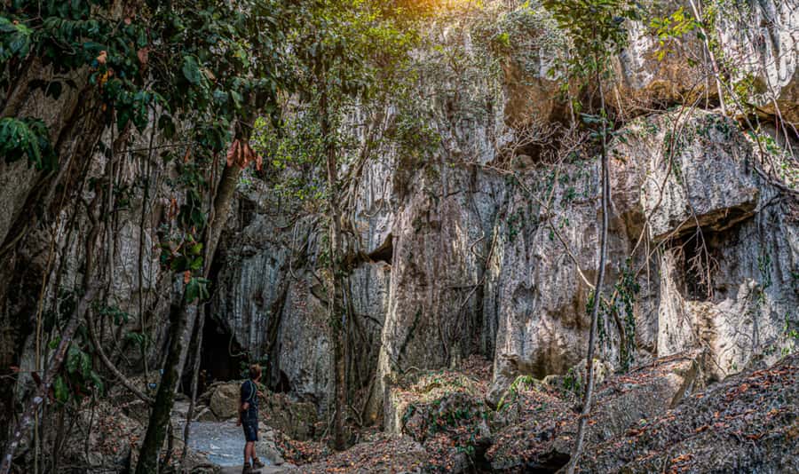 Queensland: 90 Minute Capricorn Caves Explorer Tour - Geology explained as you move