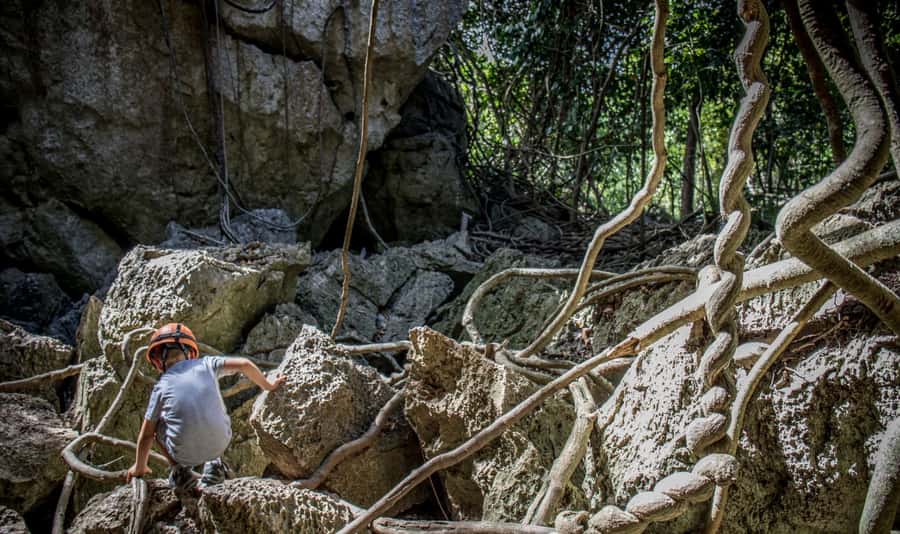 Queensland: 90 Minute Capricorn Caves Explorer Tour - Starting at the kiosk with a small group