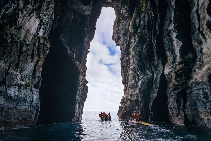 Rabo de Peixe: Cave Boat Tour on The North Coast - Marine life, from flying fish to dolphins