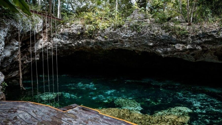 Riviera Maya: Tulum Ruins and 2 Cenotes Half-Day Tour - Chen-Ha and the shared cenote facilities