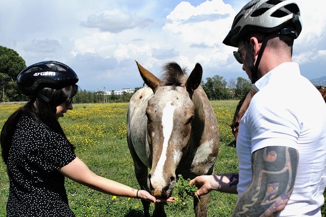 Rome EBike Tour: Appian Way, Catacombs & Roman Aqueducts - Riding the Appian Way, Rome’s ancient highway