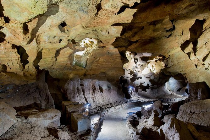 San Jose Caves Guided Tour from Valencia - Who should book this cave trip?