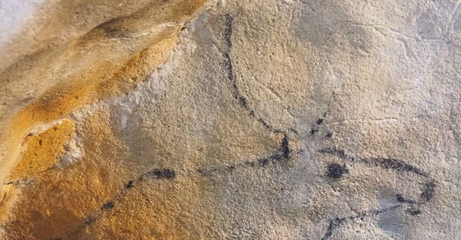 Santander: El Castillo Caves & Paleolithic Art Tour - Why these caves matter