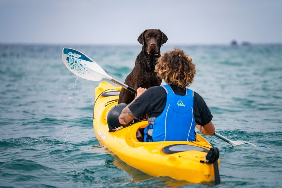 Santorini: Sea Caves Kayak Trip with Snorkeling and Picnic - What Kalliopi and the family-run approach add