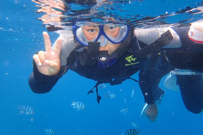 Snorkeling in the Blue Cave area【Okinawa Prefecture: Free feeding & photo images!English and Chinese speaking guide available! - Crowds, life jackets, and the feel of the swim