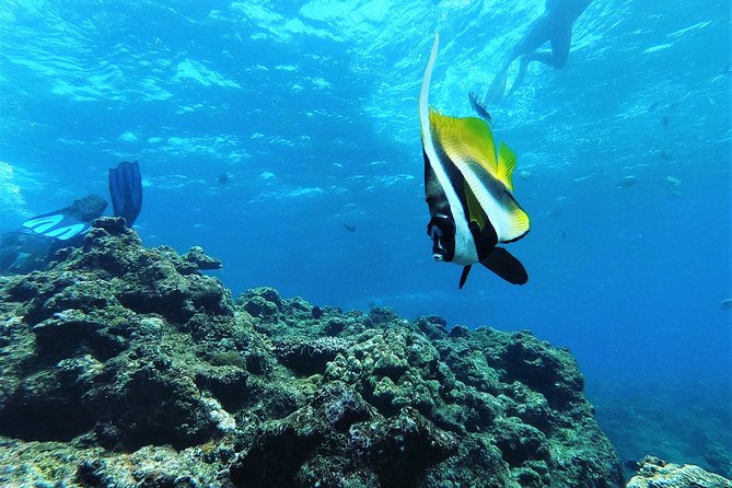 Snorkeling in the Blue Cave area【Okinawa Prefecture: Free feeding & photo images!English and Chinese speaking guide available! - Meeting at Island Club and getting ready