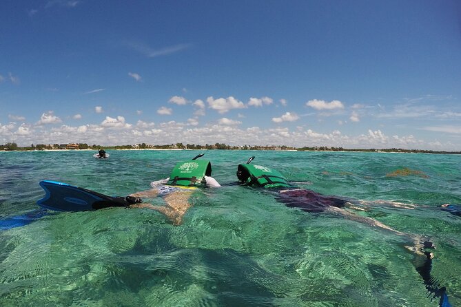 Snorkeling with Caribbean fish and private cenote exploration - Two Yucatan worlds in six hours