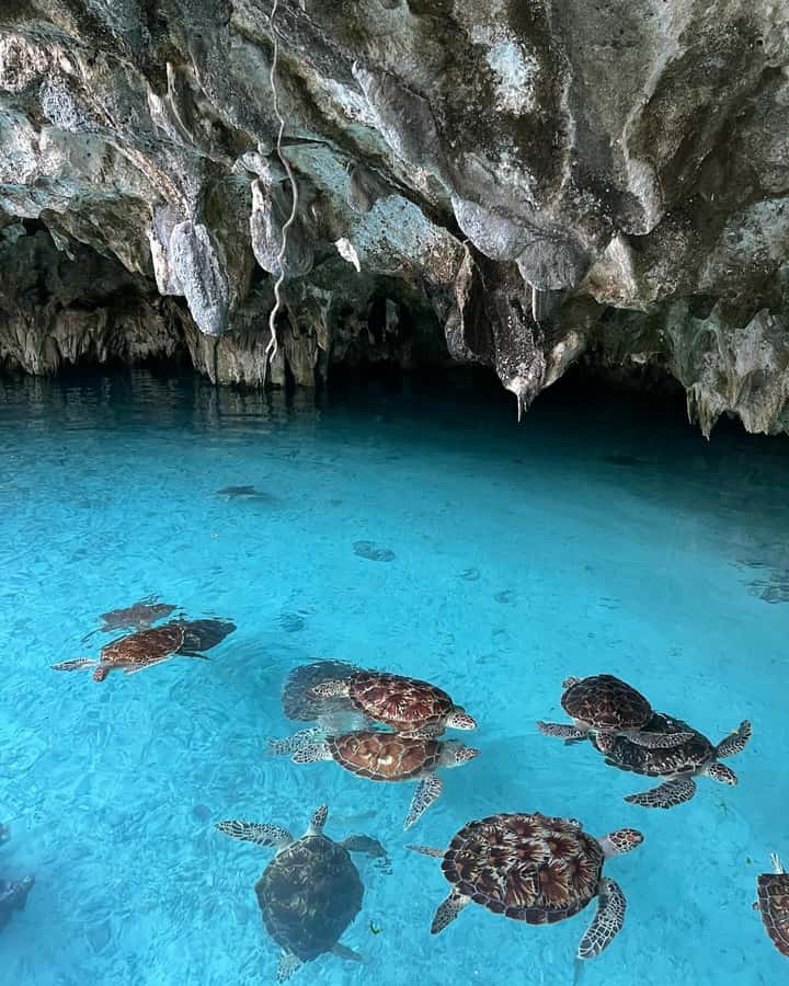 SWIMMING WITH TURTLES AT SALAAM CAVE AT KIZIMKAZI ZANZIBAR - How much time you get in the water