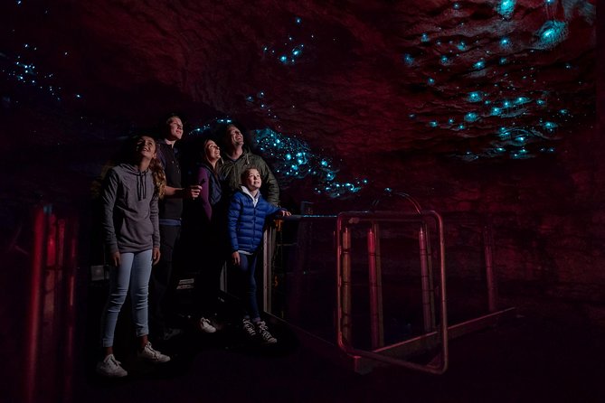 Te Anau Glow Worm Caves Tour - Cavern House and the Glow Worm Lesson