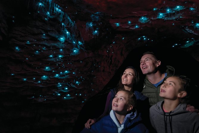 Te Anau Glow Worm Caves Tour - Crossing Lake Te Anau on the Luminosa