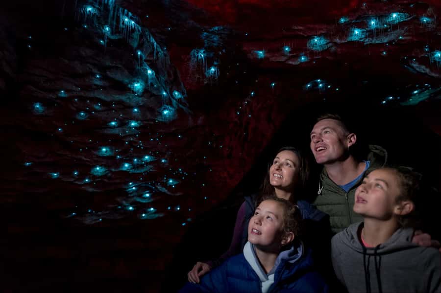 Te Anau: Glowworm Caves Guided Tour - Why the cave is more than a glowworm stop