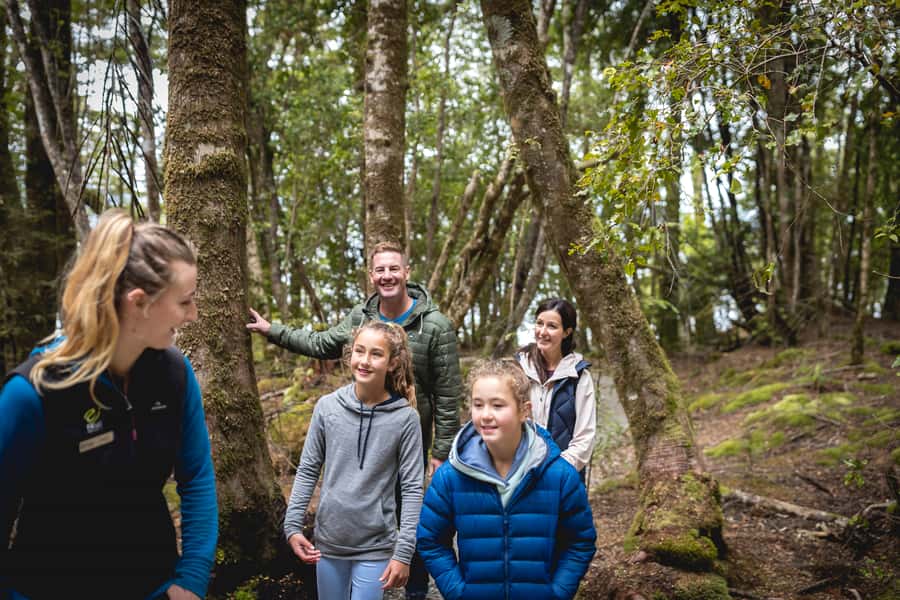 Te Anau: Glowworm Caves Guided Tour - Walk beside the underground river