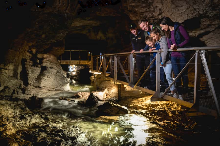 Te Anau: Glowworm Caves Guided Tour - Board the small boat beneath the glowworms