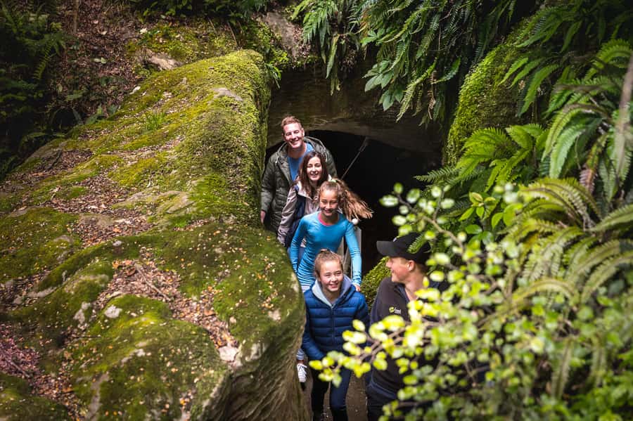 Te Anau: Glowworm Caves Guided Tour - Learn what you just saw over a hot drink