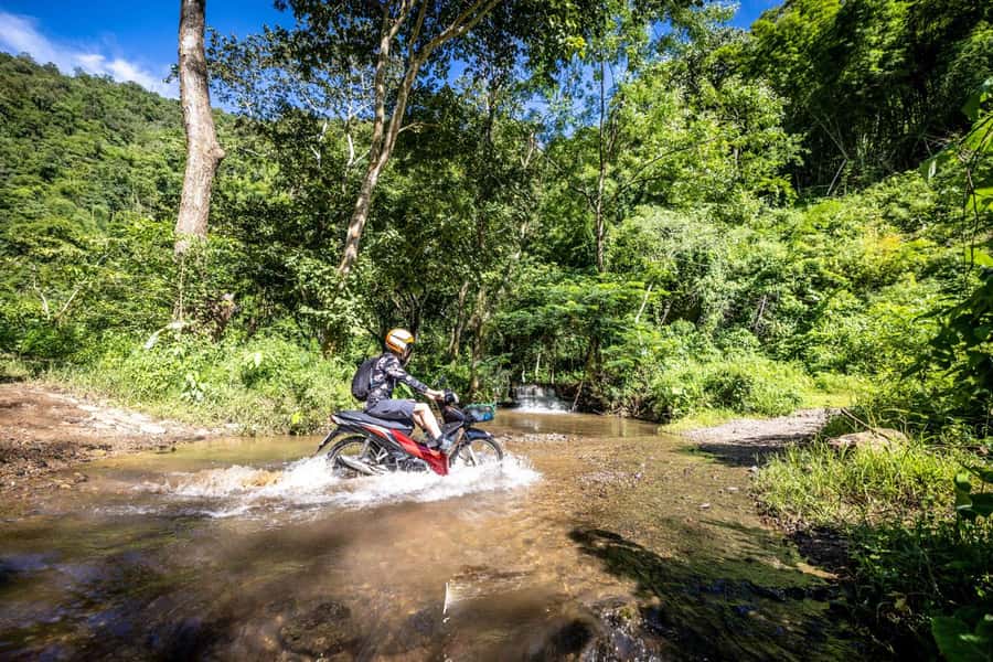 The REAL Thailand on a scooter. Check reviews !! - Wildlife is possible, not guaranteed
