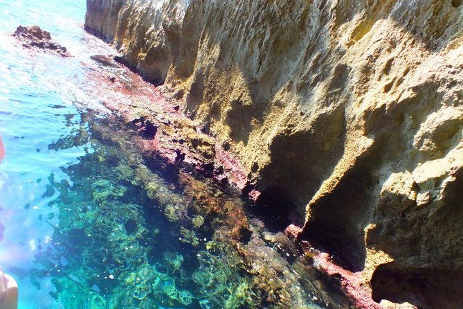 Tour of the island of Ortigia and exploration of sea caves with baths. - The swim stop in clear Ionian water