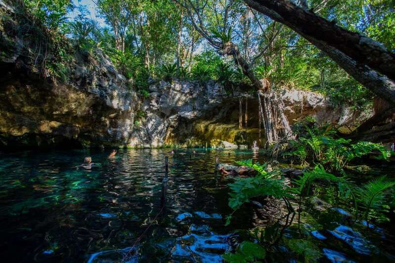 Tulum: Cenote Trail Bike Tour - Brunch and Jungle Lunch Are Part of the Appeal