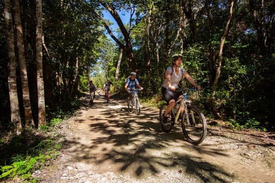 Tulum: Cenote Trail Bike Tour - Guides Make the Difference