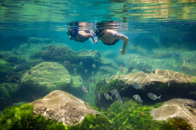 Tulum Guided Tour, Magical Cenote, Lagoon Snorkeling and Beachside Lunch - What to Pack for a Better Day