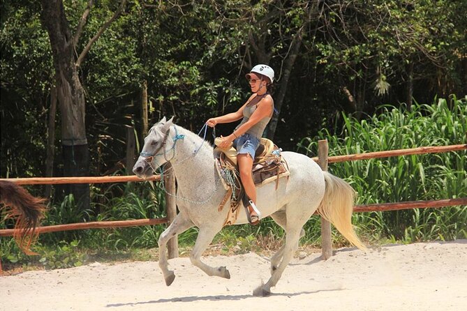 Tulum Jungle Horseback Ride + ATV + Ziplines + Cenote Combo Tour - Four ziplines, including a long one