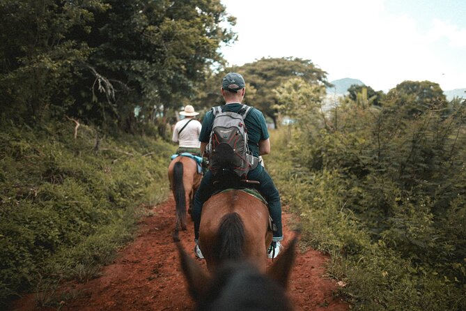 Tulum Jungle Horseback Ride + ATV + Ziplines + Cenote Combo Tour - Guides make a real difference