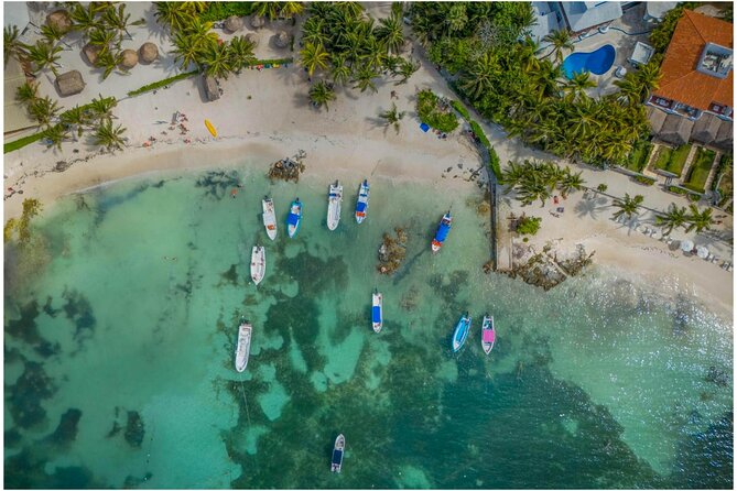 Tulum Ruins, Turtles in Akumal and Cenote tour - Key Points Before You Book