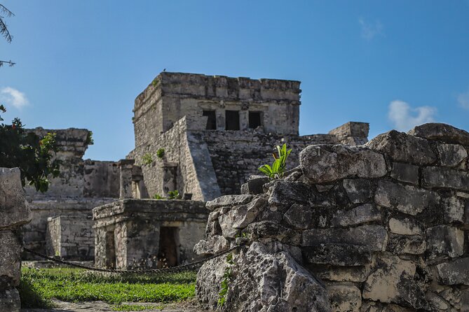 Tulum Ruins, Turtles in Akumal and Cenote tour - Akumal Bay: Sea Turtles, Stingrays, and Open Water