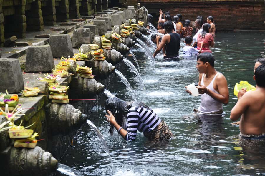 Ubud: Rice Terrace, Waterfall, & Elephant Cave - Key points to know before booking