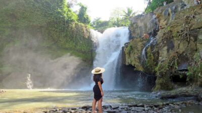 Ubud: Rice Terrace, Waterfall, & Elephant Cave