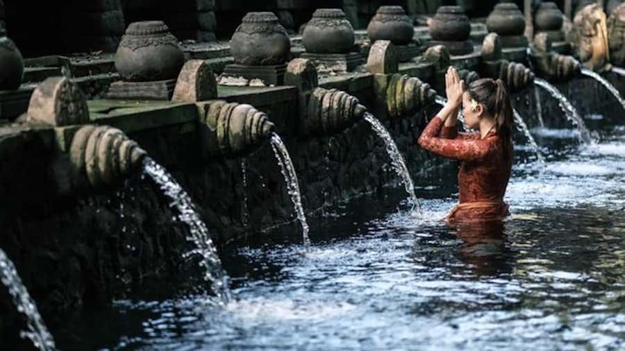 Ubud: Rice Terrace, Waterfall, & Elephant Cave - Lunch is your own choice