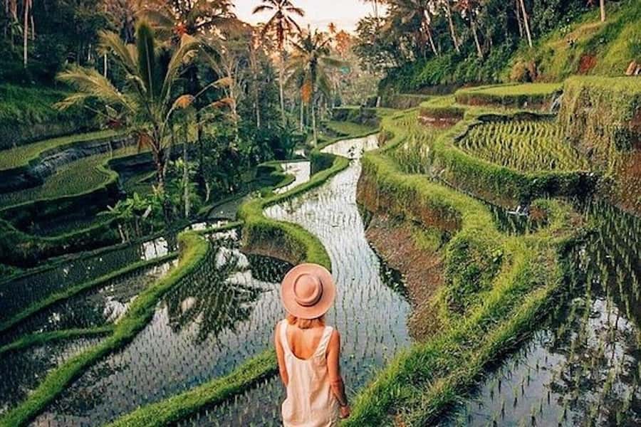 Ubud: Rice Terrace, Waterfall, & Elephant Cave - Tirta Empul is the day’s most meaningful stop