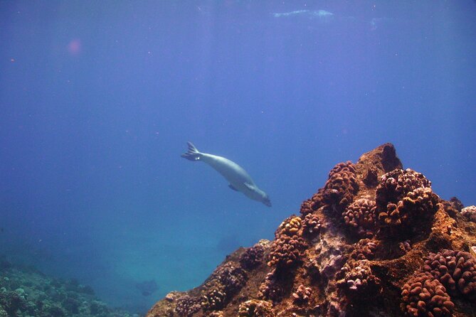 Ultimate Na Pali Coast Zodiac Boat Snorkeling and Sea Cave Tour - Lunch and what to bring