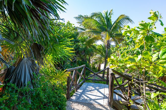 Viator Exclusive: Tulum Ruins, Reef Snorkeling, Cenote and Caves - The cenote and cave swim