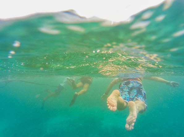 Viator Exclusive: Tulum Ruins, Reef Snorkeling, Cenote and Caves - Transport, group size, and the long day
