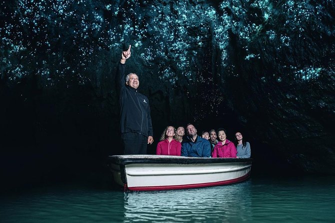 Waitomo Caves & Rotorua - Te Puia Small-Group Tour from Auckland - Why this Auckland day trip works