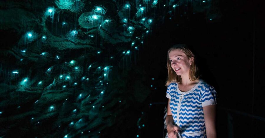 Waitomo Caves: Ruakuri Glowworm Cave Guided Walking Tour - The Drum Passage, water, and the sound of the cave