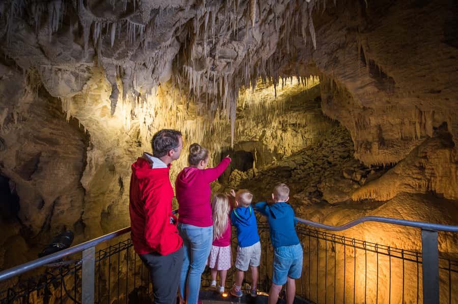 Waitomo Caves: Ruakuri Glowworm Cave Guided Walking Tour - Seeing the glowworms up close