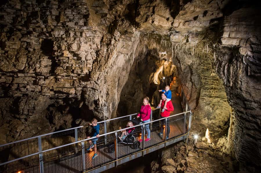 Waitomo Caves: Ruakuri Glowworm Cave Guided Walking Tour - The Ghost Passage and the final return