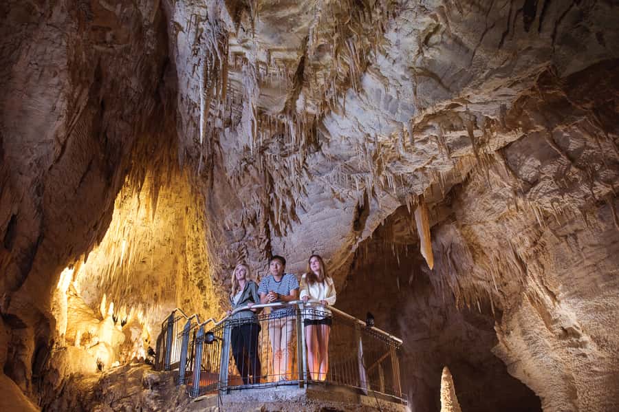 Waitomo Caves: Ruakuri Glowworm Cave Guided Walking Tour - Guides who make the walk memorable