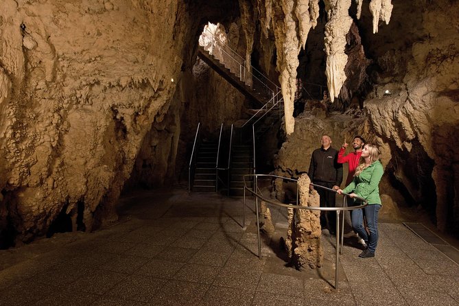 Waitomo Glowworm Caves Guided Tour - Why the Waitomo glowworms are worth seeing