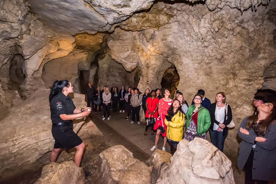 Waitomo: Glowworm Caves Guided Tour by Boat - The Cathedral and its remarkable sound