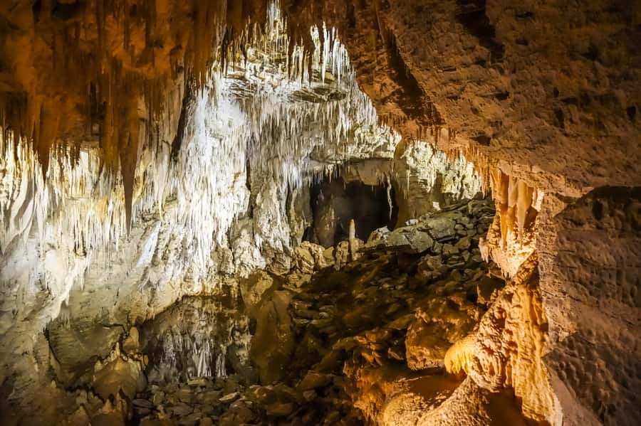 Waitomo: Glowworm Caves Guided Tour by Boat - Who should book this experience?