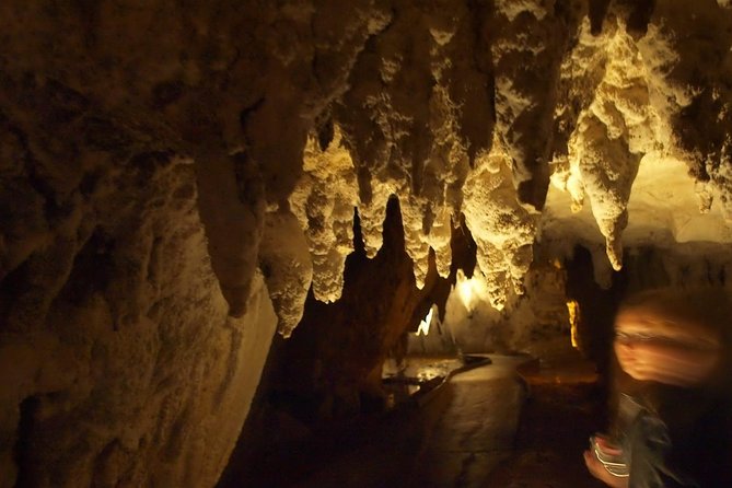 Waitomo Glowworm Caves In a Private Small Group Tour-Auckland. - Why Waitomo is worth the long outing from Auckland