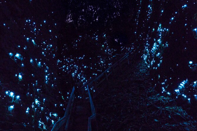 Waitomo Glowworm Caves In a Private Small Group Tour-Auckland. - Inside the upper cave: Catacombs and stone formations