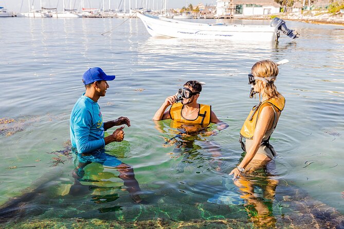 With Turtles, Shipwreck, Cenote, and Reef and Transport Included - A short Cancun outing with a lot packed in
