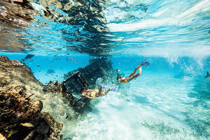 With Turtles, Shipwreck, Cenote, and Reef and Transport Included - Shipwreck, cenote, and underwater museum