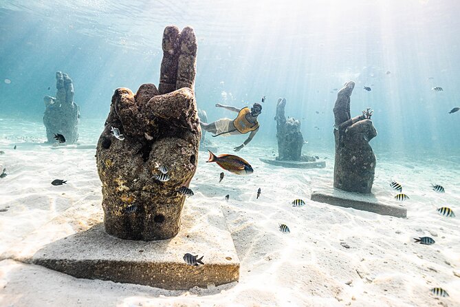 With Turtles, Shipwreck, Cenote, and Reef and Transport Included - Turtles, rays, barracuda, and colorful fish