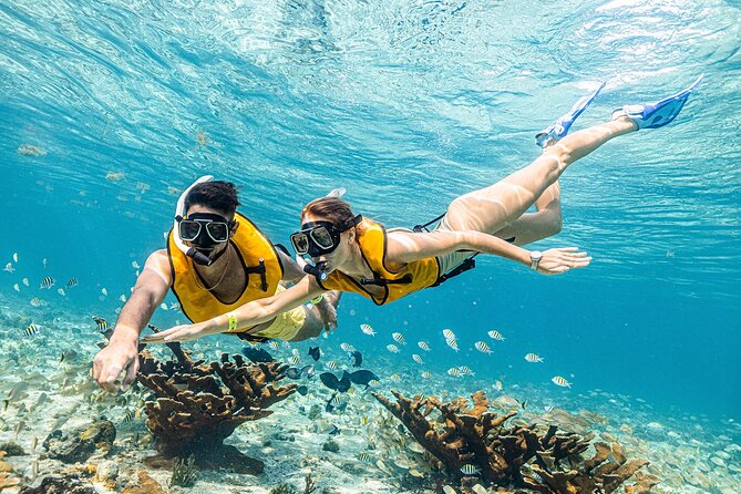 With Turtles, Shipwreck, Cenote, and Reef and Transport Included - What the two-hour water time really feels like
