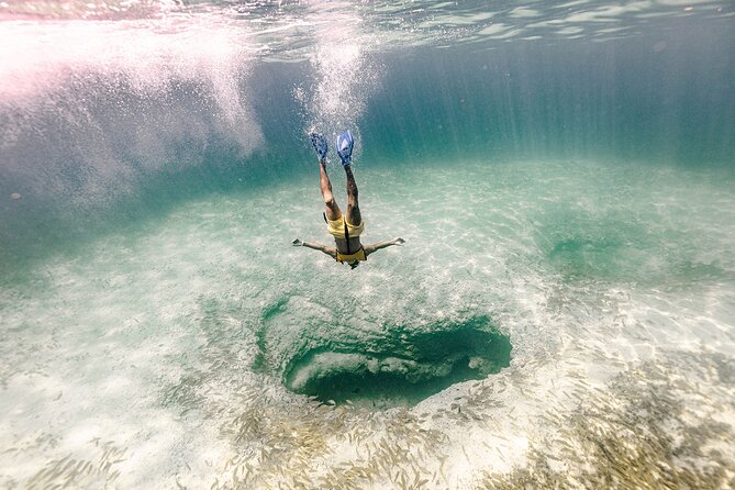 With Turtles, Shipwreck, Cenote, and Reef and Transport Included - Guides, captains, and the small-boat advantage