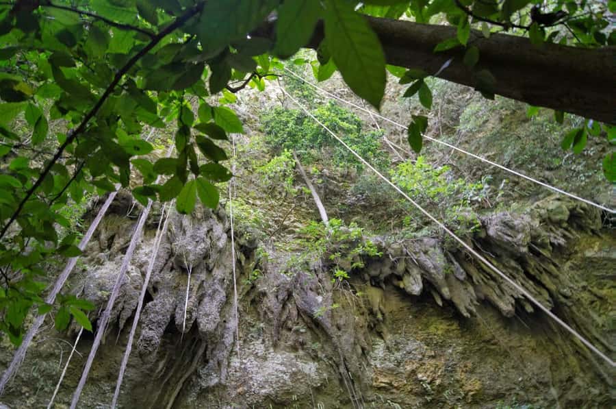 Yogyakarta: Jomblang Cave and Pindul Cave all inclusive Trip - Key points at a glance